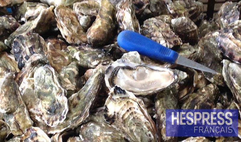 Agadir : Interdiction de la récolte et de la vente des coquillages à Tamri-Cap Ghir