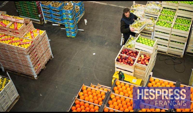 Agroalimentaire : le paradoxe marocain, du champ à l’import