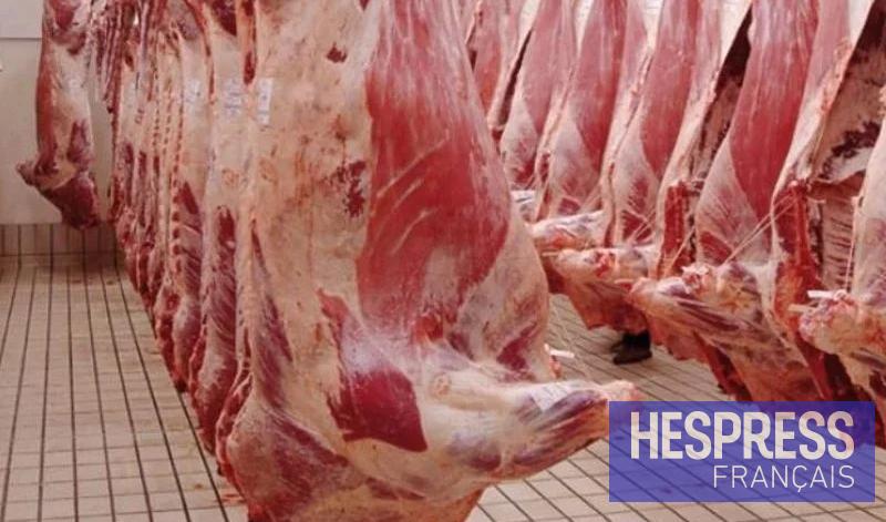 Importations de viande : un rythme encore faible, la viande congelée attendue en octobre