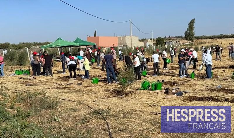 5 000 collaborateurs, 5 000 arbres : quand la croissance devient un engagement