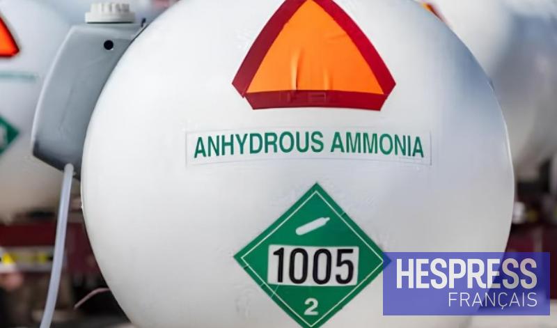 Ammoniac chinois : le Maroc s'impose comme premier client mondial