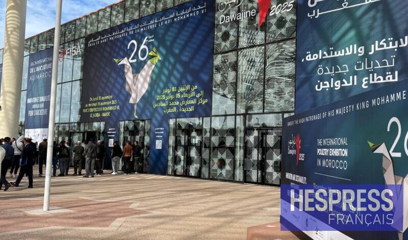 Dawajine 2026 : le salon avicole marocain se prépare à relever les défis de 2030