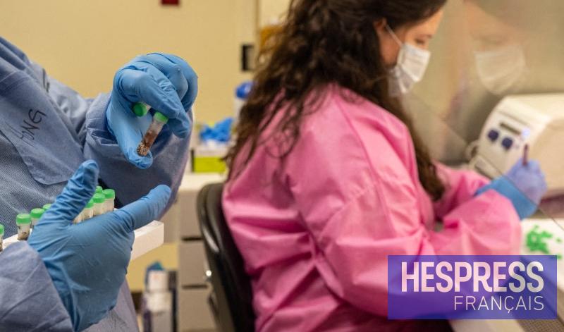 belgique 20 Belgique : 14 cas confirmés et 2 décès liés au virus du Nil occidental