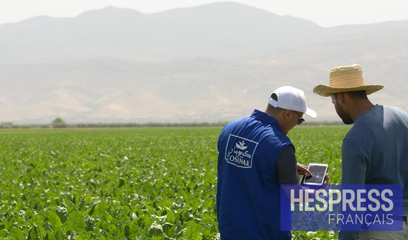 Campagne agricole 2026/27 : le Groupe COSUMAR lance les semis sur un programme de 63.000 ha de plantes sucrières