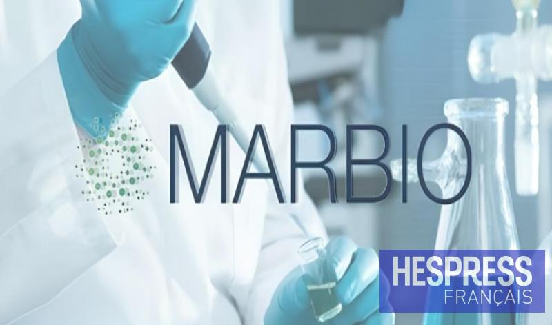 Souveraineté sanitaire : le FM6I prend les 10% de Recipharm dans MARBIO