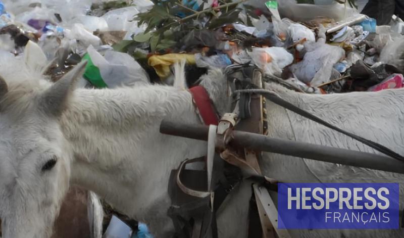 12 MMDH de pertes, 14 MMDH d’investissements, le Maroc face au coût des déchets
